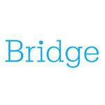 Bridge - крупнейший производитель в области химии и оборудования для бассейнов